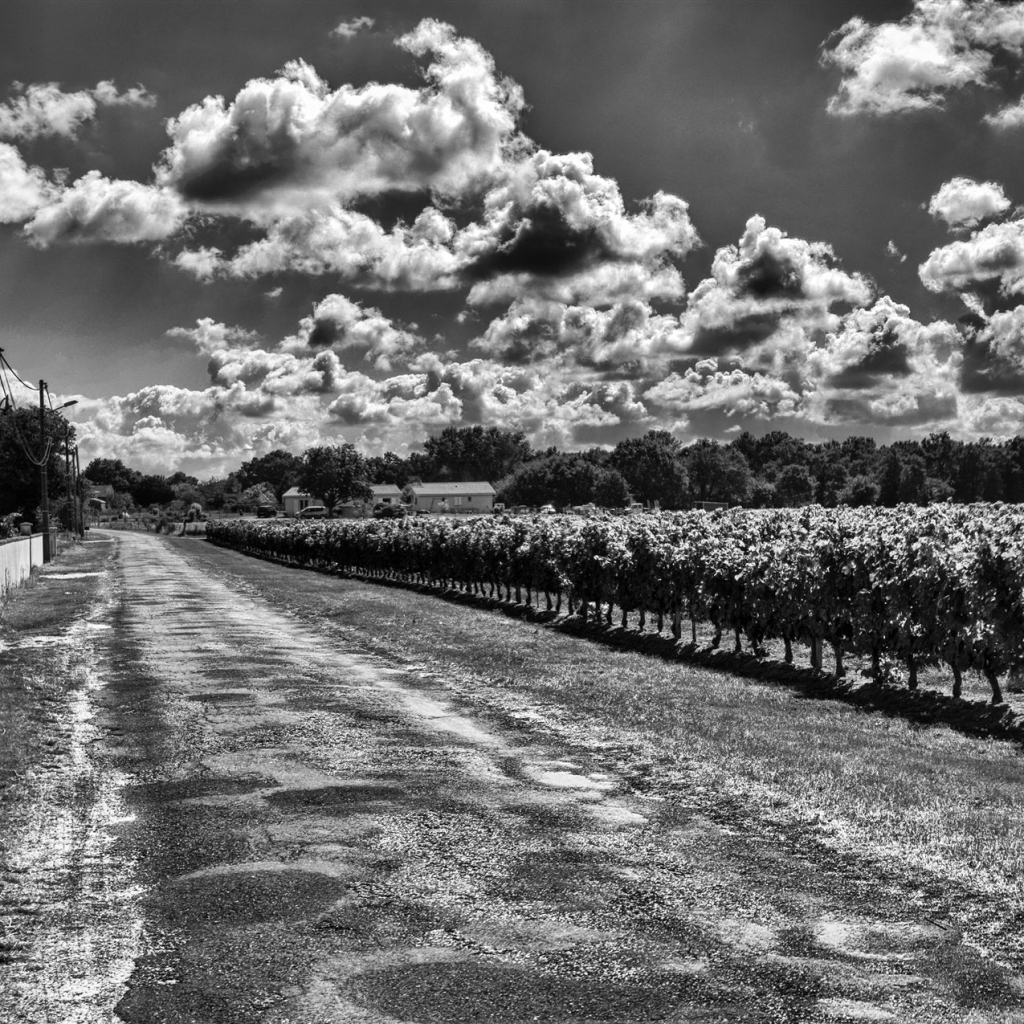 HDR-0084-SW-Dehaze25