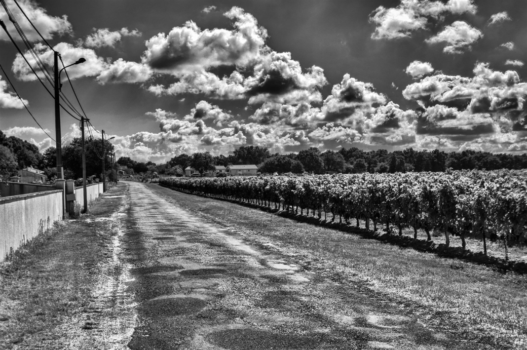 HDR-0084-SW-Dehaze25